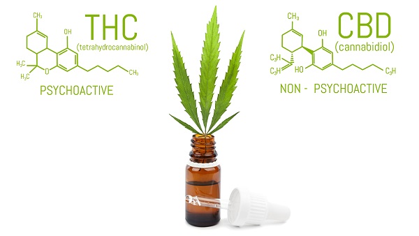 Difference between THC and CBD